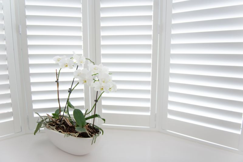 Exterior Shutters Installation in Boulder, CO